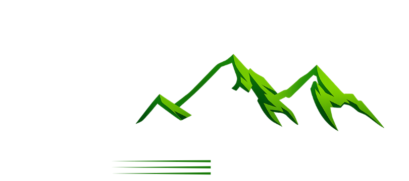 Fly Royal Aviation Logo